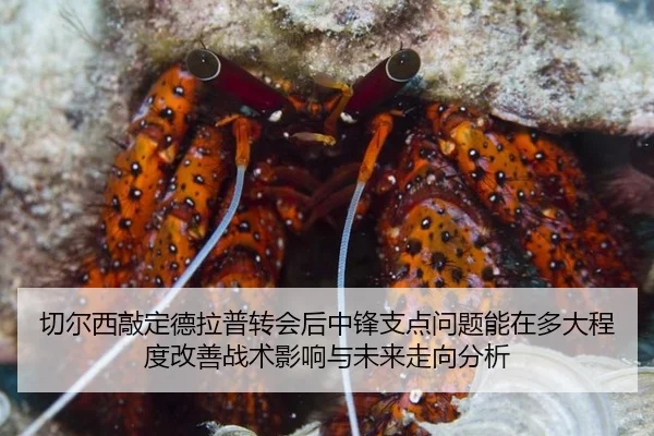 切尔西敲定德拉普转会后中锋支点问题能在多大程度改善战术影响与未来走向分析