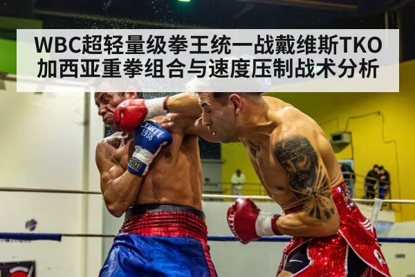WBC超轻量级拳王统一战戴维斯TKO加西亚重拳组合与速度压制战术分析